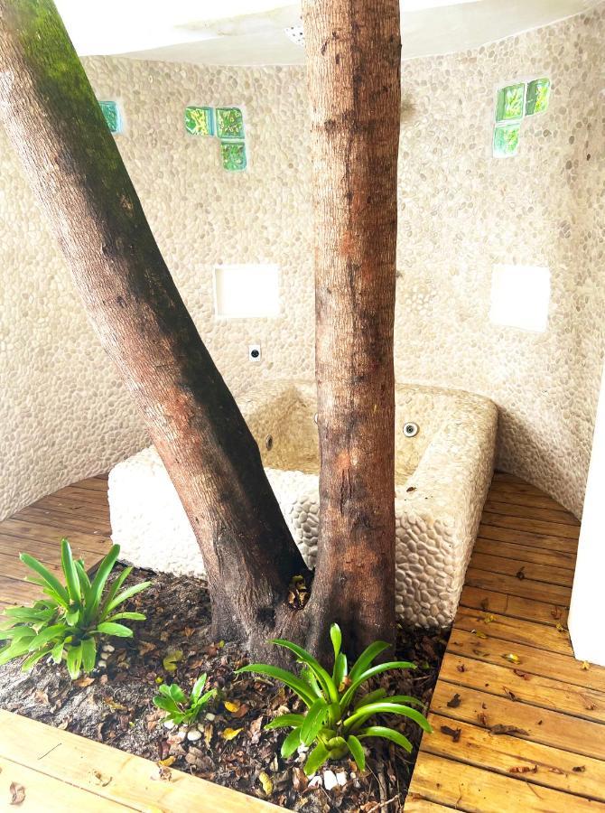 Pousada Mangue Sereno Caraiva Exterior photo